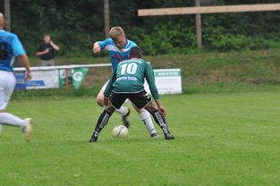 爱游戏官方-德甲球队建立运动-语言双因建模用于战术同步性检测,双语现象是语言融合的先导或过渡阶段