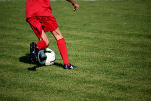 爱游戏体育app-德甲青训系统结合视觉感知训练强化位置判断