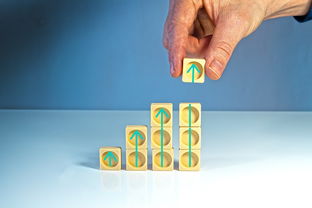 爱游戏体育平台-青少年体育社团活动对身心发展的促进作用,体育社团对学生的影响