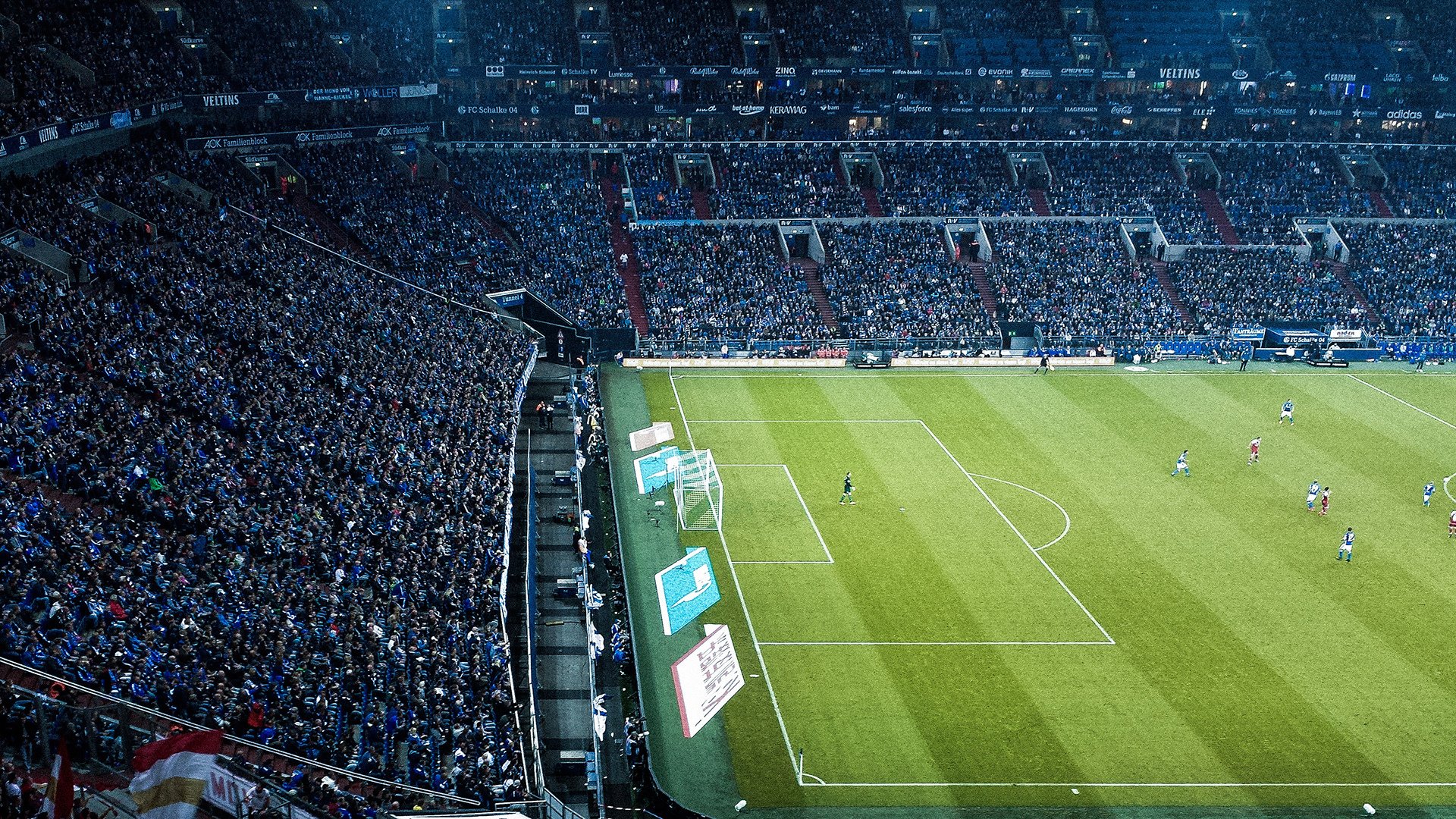 明日之星：青训营培养未来巨星的大变革，明日之星培训中心